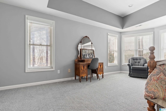 carpeted office with a raised ceiling and a healthy amount of sunlight