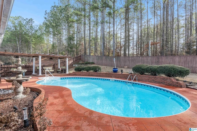 view of pool featuring a patio area