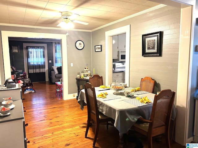 dining room featuring crown molding, ceiling fan, and light hardwood / wood-style flooring