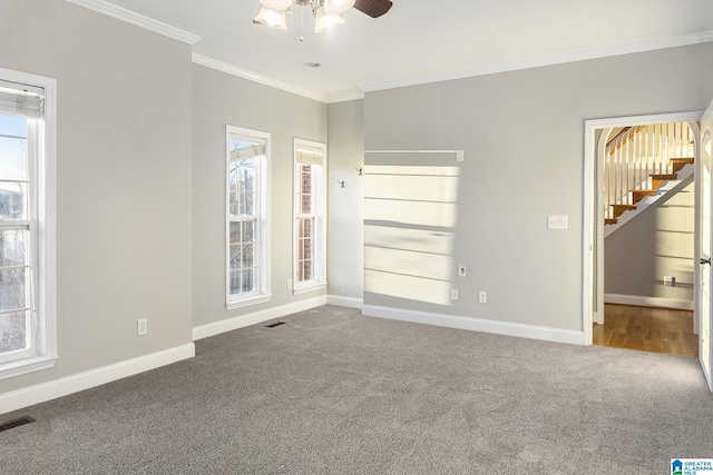 interior space with ceiling fan, ornamental molding, a healthy amount of sunlight, and carpet flooring