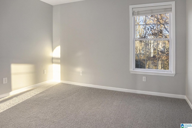 unfurnished room featuring carpet