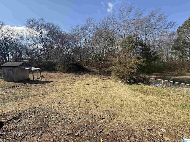 view of yard with a shed