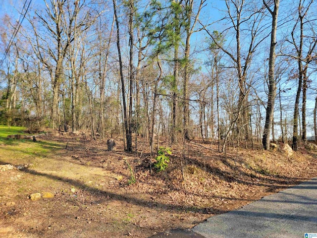 0 Clearwater Point Rd Unit 5, Cropwell AL, 35054 land for sale