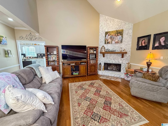 living room featuring hardwood / wood-style flooring, a fireplace, and high vaulted ceiling