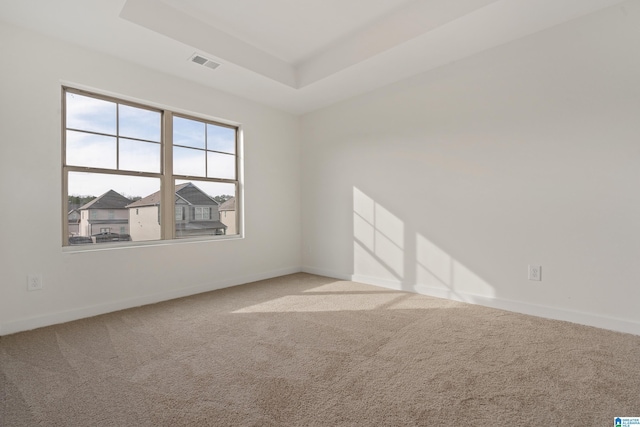 spare room with a tray ceiling and carpet floors