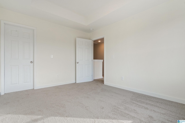 unfurnished room featuring a raised ceiling and carpet floors