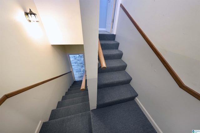 stairway featuring carpet flooring