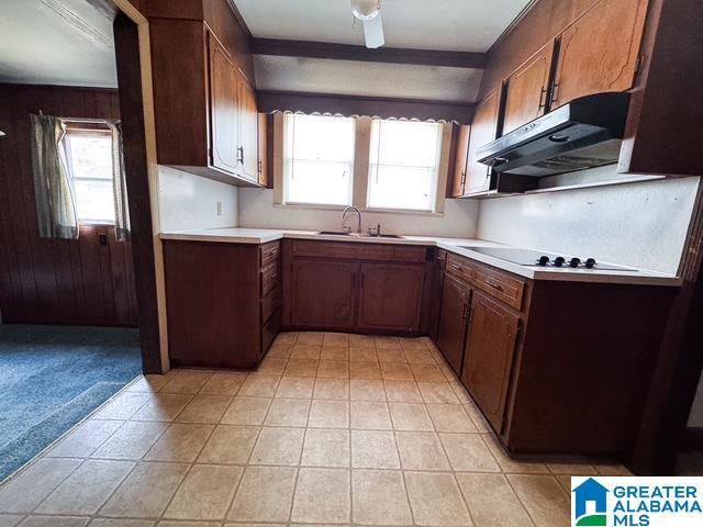 kitchen featuring light carpet, sink, black electric stovetop, and wooden walls