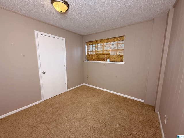 empty room with carpet and a textured ceiling