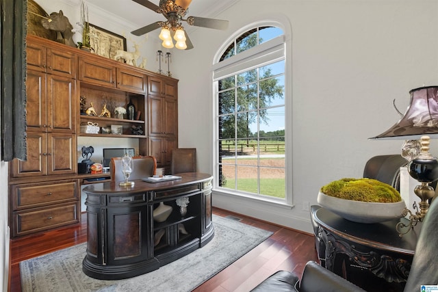 office space featuring ornamental molding, plenty of natural light, and dark hardwood / wood-style flooring