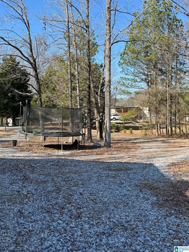 view of yard featuring a trampoline