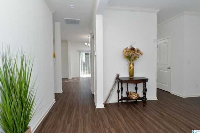 hallway with crown molding and dark hardwood / wood-style floors