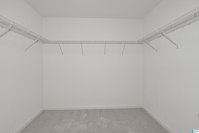 walk in closet with light colored carpet