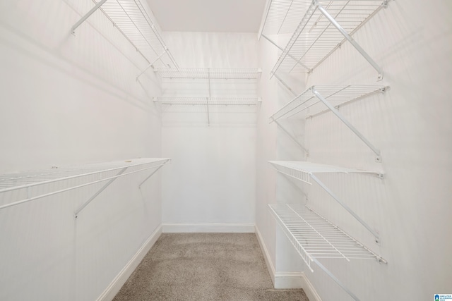 spacious closet with light carpet