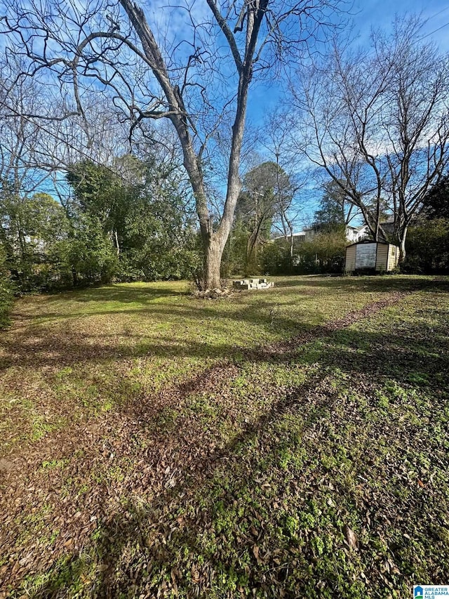 view of yard featuring a shed