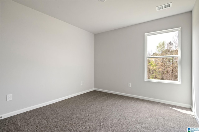 spare room featuring carpet flooring