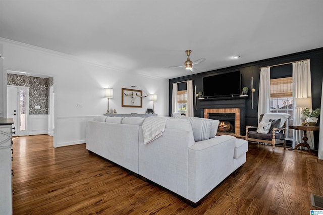 living room with crown molding, dark hardwood / wood-style floors, ceiling fan, and a fireplace