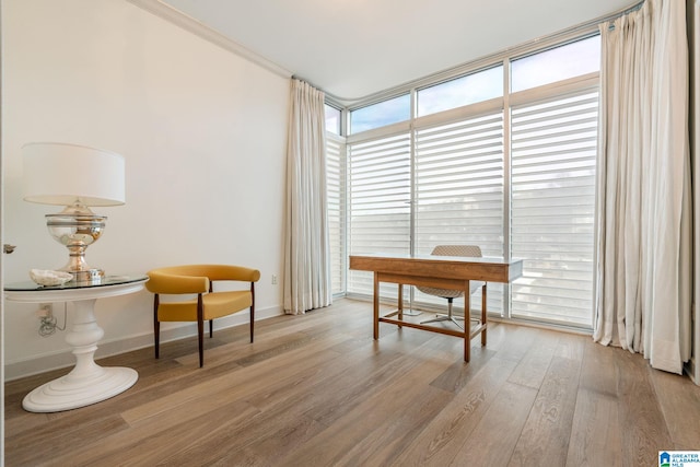 interior space with floor to ceiling windows, crown molding, and light hardwood / wood-style flooring