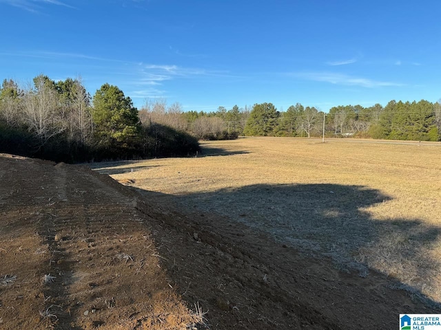 0 County Road 12 Unit 0, Arley AL, 35541 land for sale