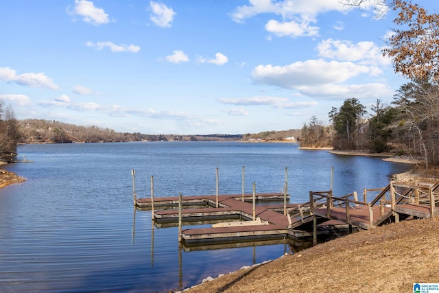 dock area with a water view