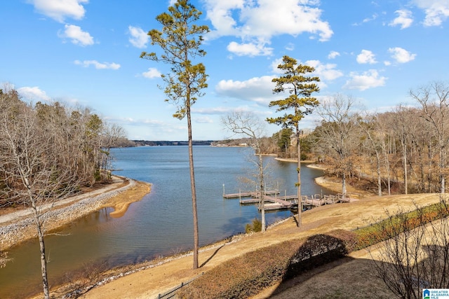 water view featuring a floating dock