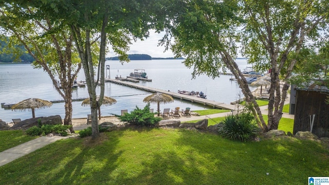 water view featuring a boat dock