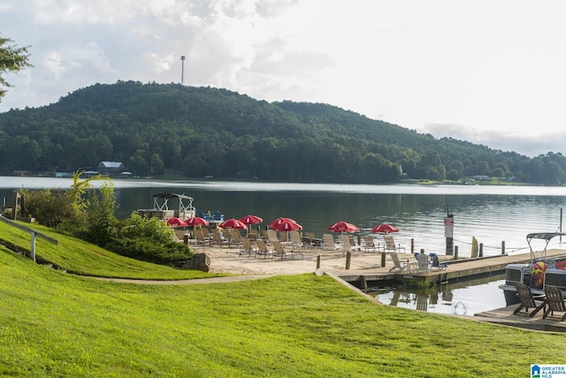 dock area with a water view and a lawn