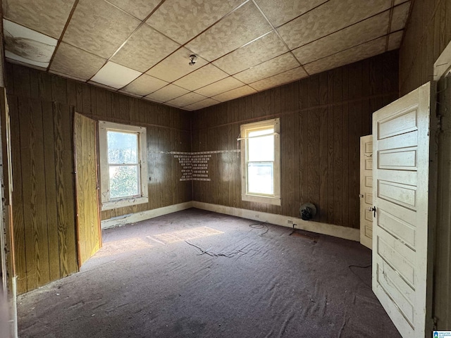 unfurnished room with a wealth of natural light and wooden walls