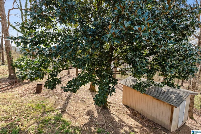 view of yard featuring a shed