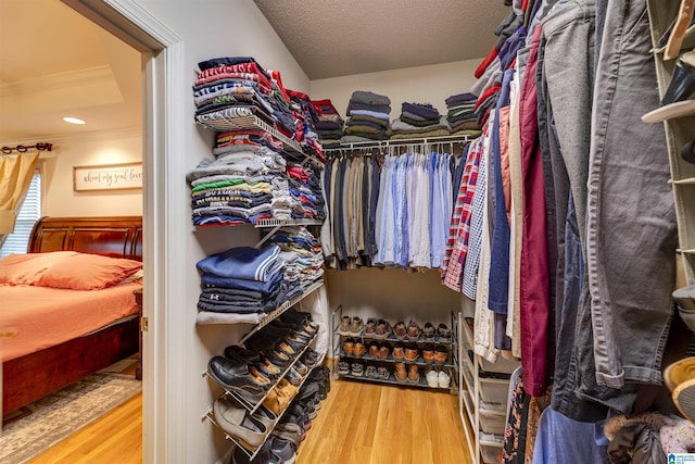 spacious closet with hardwood / wood-style floors