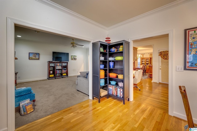 interior space with hardwood / wood-style floors and ornamental molding