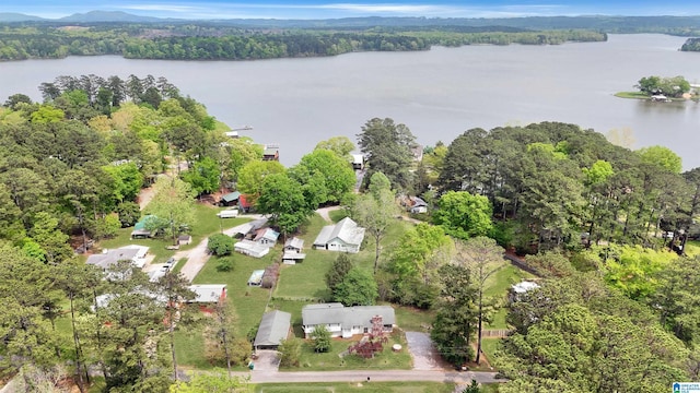 46 3rd Ave, Shelby, AL 35143 - drone / aerial view with a view of trees and a water view