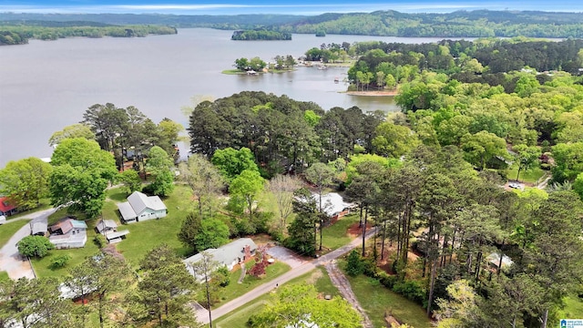 46 3rd Ave, Shelby, AL 35143 - aerial view with a forest view and a water view