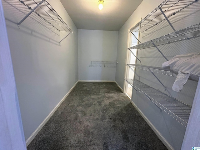 spacious closet featuring dark colored carpet