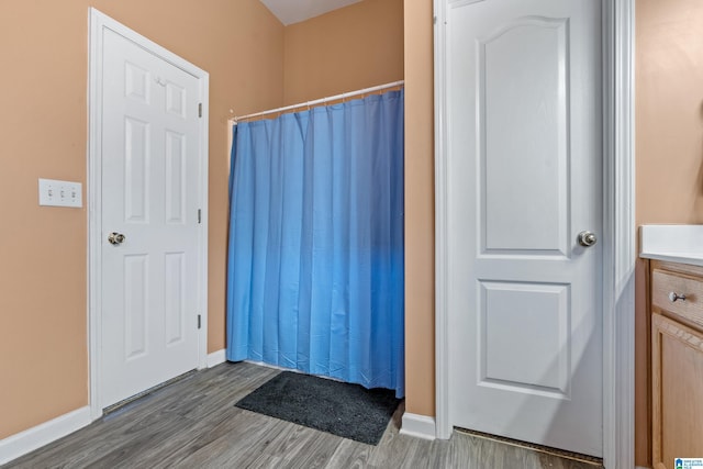 bathroom featuring hardwood / wood-style flooring and vanity