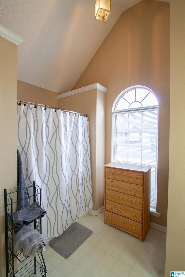 living area with lofted ceiling