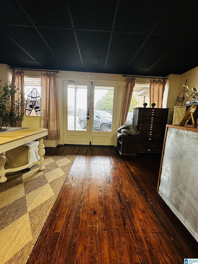 interior space featuring a wealth of natural light, dark hardwood / wood-style flooring, and french doors