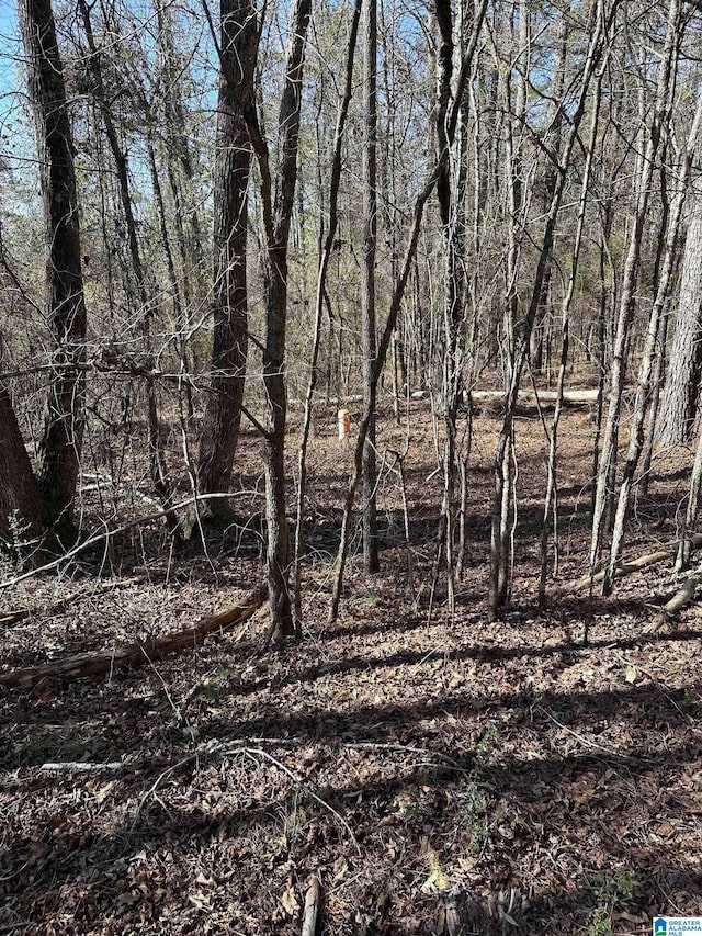 0 Fieldcrest Dr Lot 7, Hayden, AL 35079