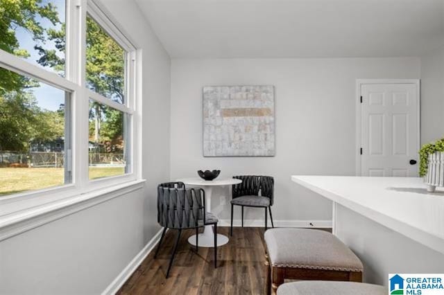 living area with dark wood-type flooring