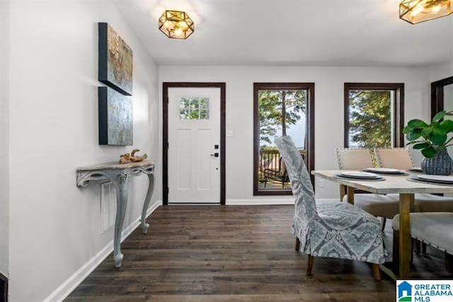 foyer with dark wood-type flooring