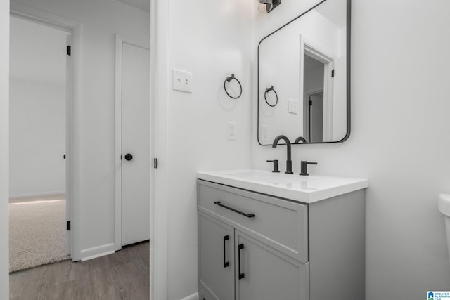 bathroom with vanity and wood-type flooring