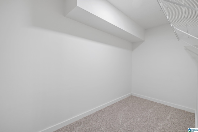 spacious closet with carpet floors