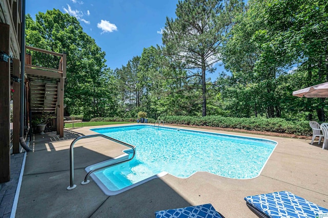 view of pool with a patio