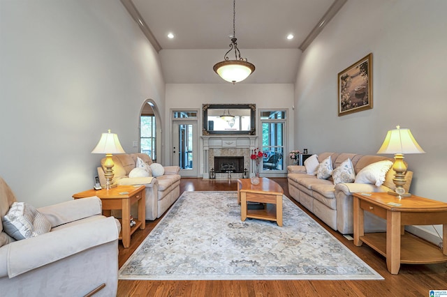 living room featuring hardwood / wood-style floors, a fireplace, and high vaulted ceiling