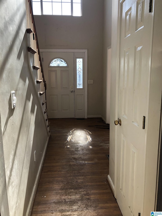 entryway with dark hardwood / wood-style flooring and a high ceiling