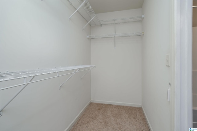 spacious closet with light carpet