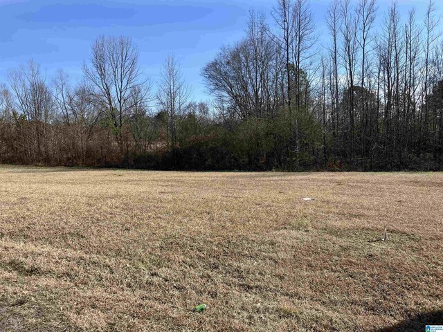 0 Wilson Chapel Rd Unit 4, Altoona AL, 35952 land for sale