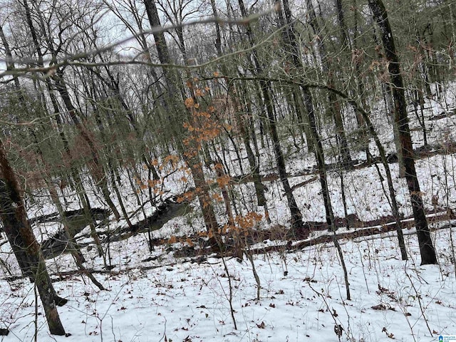 view of snowy landscape