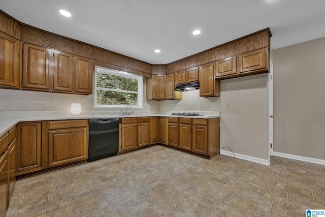 kitchen with gas cooktop, dishwasher, and sink