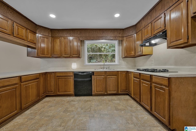 kitchen featuring dishwasher, sink, and gas stovetop